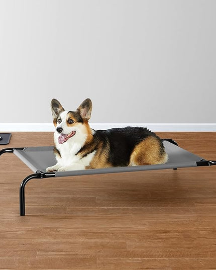 Amazon Basics Breathable Cooling Elevated Dog Bed with Durable Metal Frame, Medium, 43 x 26 x 7.5 Inch, Grey AmazonBasics