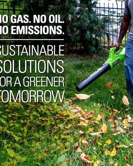 Greenworks 24V (90 MPH / 320 CFM / 125+ Compatible Tools) Cordless Axial Leaf Blower, 2.0Ah Battery and Charger Included - LeafyLoom