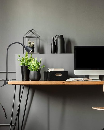 Newhouse Lighting NHCLP-OL-BK Olivia LED Clamp Light Desk Lamp with Flexible Gooseneck, 3 Brightness Levels & 3 Color Modes, Black - LeafyLoom