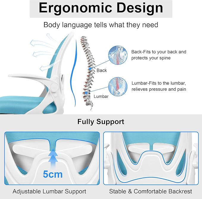 Primy Office Chair Ergonomic Desk Chair with Adjustable Lumbar Support and Height, Swivel Breathable Desk Mesh Computer Chair with Flip up Armrests for Conference Room（Blue） - LeafyLoom