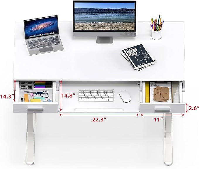 SHW 48-Inch Electric Height Adjustable Desk with Keyboard Tray and Two Drawers - LeafyLoom
