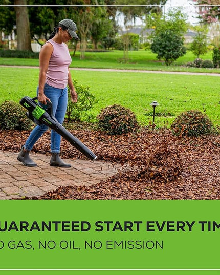 Greenworks Pro 80V (145 MPH / 580 CFM) Brushless Cordless Axial Leaf Blower, 2.5Ah Battery and Charger Included BL80L2510 & PRO 80V 2.0Ah Lithium-Ion Battery (Genuine Battery) - LeafyLoom