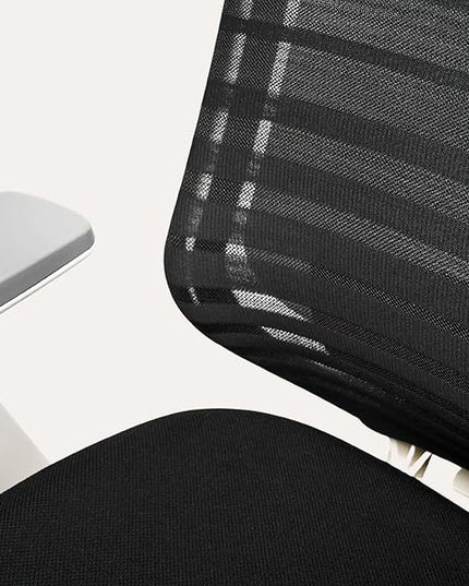 Branch Ergonomic Chair - A Versatile Desk Chair with Adjustable Lumbar Support, Breathable Mesh Backrest, and Smooth Wheels - Experience Optimal Comfort and Support - Graphite - White - LeafyLoom