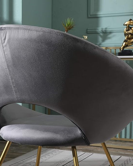 Roundhill Furniture Slatina Silky Velvet Upholstered Accent Chair with Gold Tone Finished Base, 25D x 28W x 31.5H in, Gray - LeafyLoom