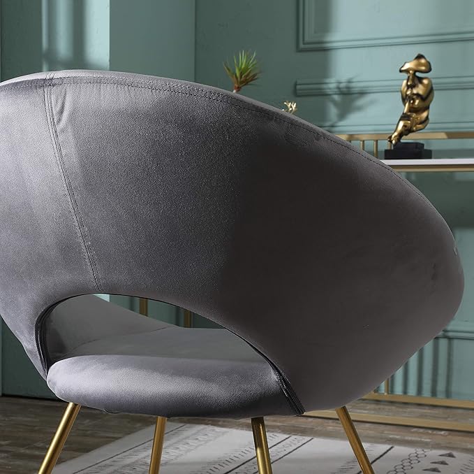 Roundhill Furniture Slatina Silky Velvet Upholstered Accent Chair with Gold Tone Finished Base, 25D x 28W x 31.5H in, Gray - LeafyLoom