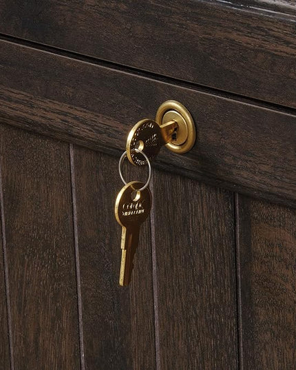 Sauder Costa Lateral File, Coffee Oak finish - LeafyLoom
