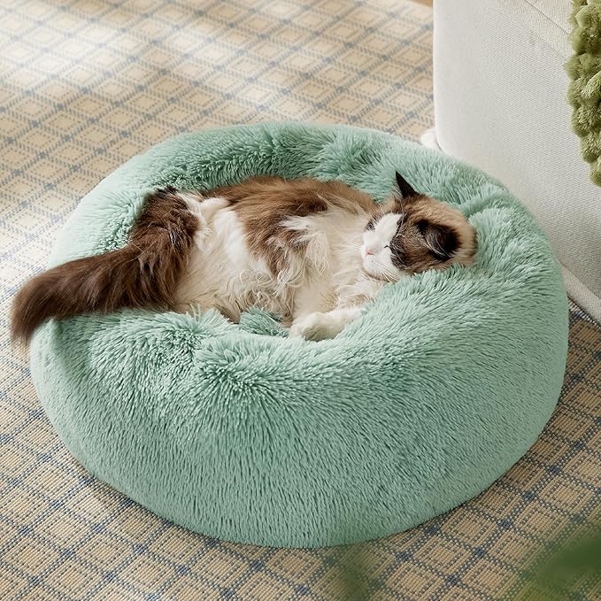 Bedsure Calming Cat Beds for Indoor Cats - Small Cat Bed Washable 20 inches, Anti-Slip Round Fluffy Plush Faux Fur Pet Bed, Fits up to 15 lbs Pets, Garden Green BEDSURE