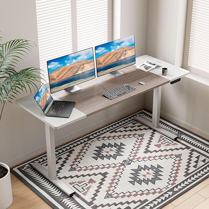 Electric Standing Desk Adjustable - 63 x 24 Inch Sit Stand up Desk with Cable Management - 3 Memory Preset Adjustable Height Desk Computer Home Office Desk - LeafyLoom