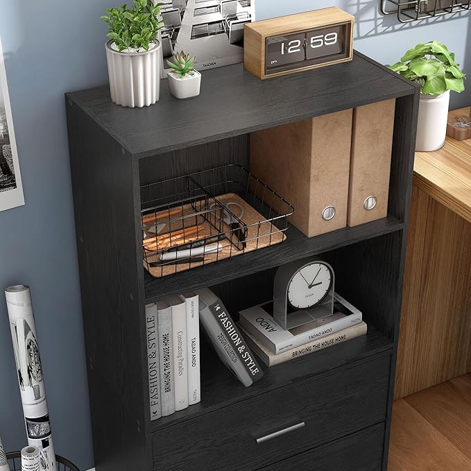 Apexa 2-Tier Cube Storage Organizer Shelves, Stackable Wood Bookcase Fits Cubby Bins for Organization, Dorm Teen Room Decor & Home Office, Black - LeafyLoom