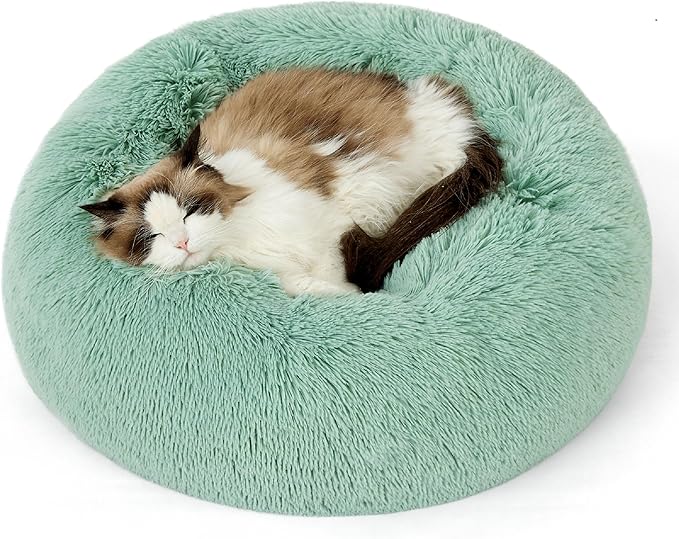 Bedsure Calming Cat Beds for Indoor Cats - Small Cat Bed Washable 20 inches, Anti-Slip Round Fluffy Plush Faux Fur Pet Bed, Fits up to 15 lbs Pets, Garden Green BEDSURE