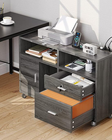 DWVO 2 Drawer File Cabinet with Charging Station, Mobile Filing Cabinet with Lock, Grey - LeafyLoom