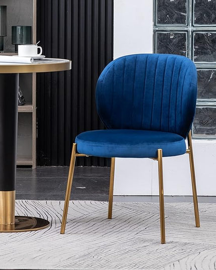 Roundhill Furniture Amoa Dining Chair, Set of 2, Blue - LeafyLoom