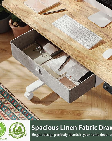 FEZIBO 63 x 24 Inches Standing Desk with Drawer, Adjustable Height Electric Stand up Desk with Storage, Sit Stand Home Office Desk, Ergonomic Computer Desk, Light Rustic - LeafyLoom