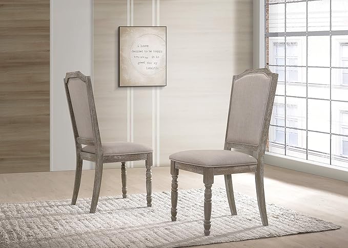 NicBex Haerin-SD-00156-LWJ Dining Chairs, 22.4"x19.5"x41", Matte Gray - LeafyLoom