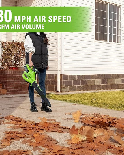 Greenworks 40V (230 MPH / 505 CFM / 75+ Compatible Tools) Cordless Brushless Leaf Blower / Vacuum, 5.0Ah Battery and Charger Included - LeafyLoom