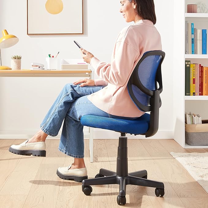 Amazon Basics Office Computer Task Desk Chair, Low-Back, Pneumatic Seat, Breathable Mesh, Adjustable, 21.25"D x 22.5"W x 38"H, Swivel, 270 Pound Capacity, Blue Nylon - LeafyLoom