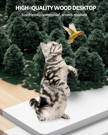 Electric Standing Desk Adjustable - 55 x 24 Inch Sit Stand up Desk with Cable Management - 3 Memory Preset Adjustable Height Desk Computer Home Office Desk - LeafyLoom