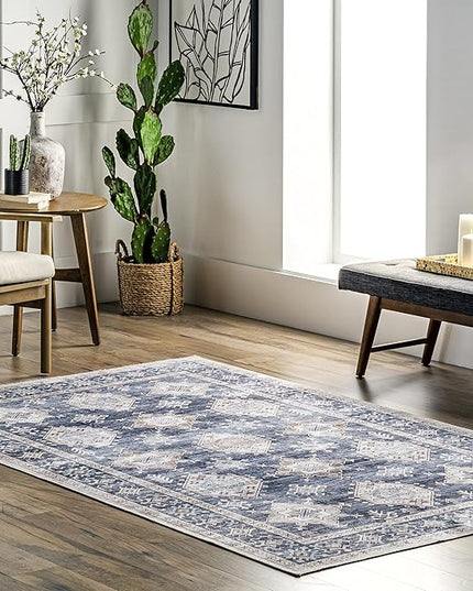 nuLOOM Finley Machine Washable Vintage Distressed Ultra Thin Area Rug, 3' x 5', Grey - LeafyLoom