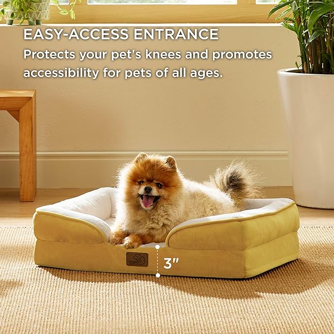 Bedsure Small Orthopedic Dog Bed - Washable Bolster Dog Sofa Beds for Small Dogs, Supportive Foam Pet Couch Bed with Removable Washable Cover, Waterproof Lining and Nonskid Bottom, Spicy Mustard BEDSURE