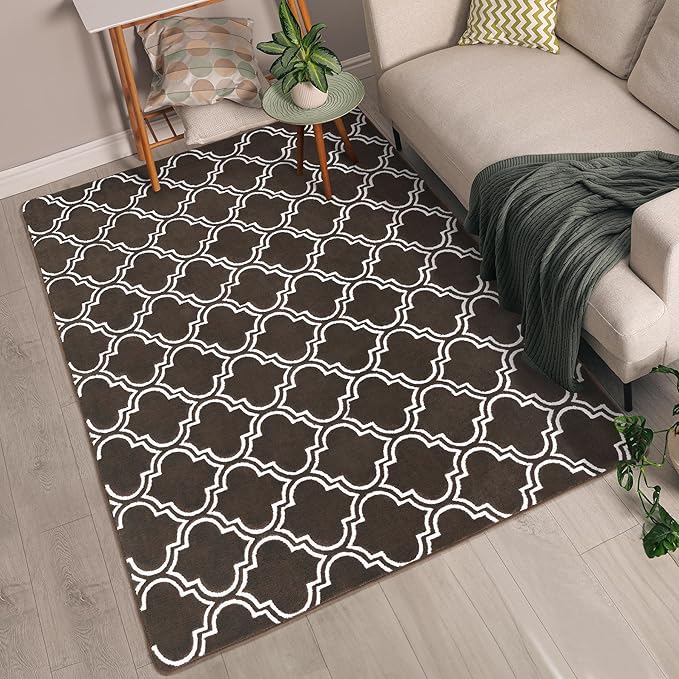 Chicrug Shag Geometric 5x7 Area Rug for Living Room, Large Modern Memory Foam Indoor Carpet, Fluffy Rug for Bedroom Bedside Room Decor for Family Girls Kids Nursery, Brown/White - LeafyLoom