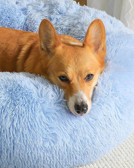 WESTERN HOME WH Calming Dog Bed & Cat Bed, Anti-Anxiety Donut Dog Cuddler Bed, Warming Cozy Soft Dog Round Bed, Dog Cat Cushion Bed for Small Medium Dogs and Cats WESTERNHOME