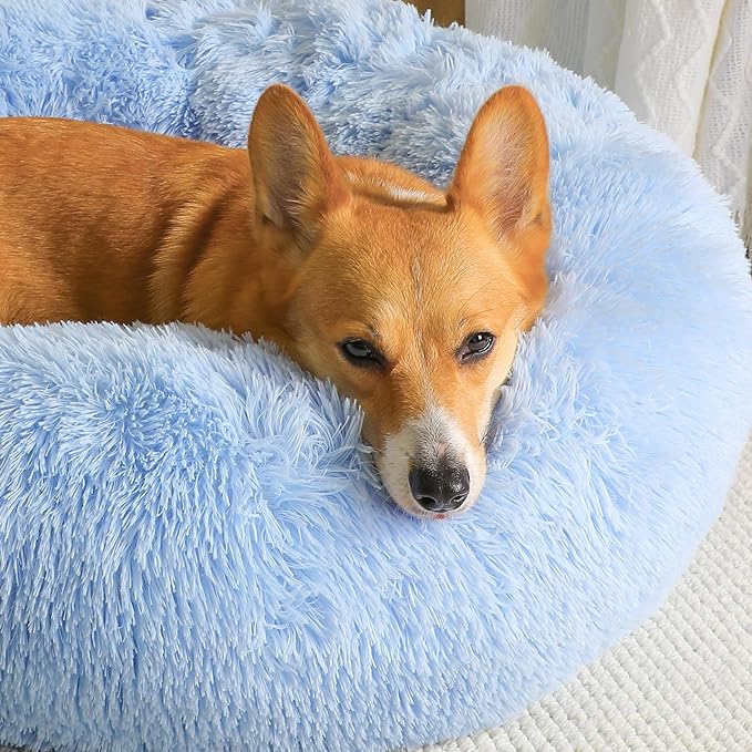 WESTERN HOME WH Calming Dog Bed & Cat Bed, Anti-Anxiety Donut Dog Cuddler Bed, Warming Cozy Soft Dog Round Bed, Dog Cat Cushion Bed for Small Medium Dogs and Cats WESTERNHOME