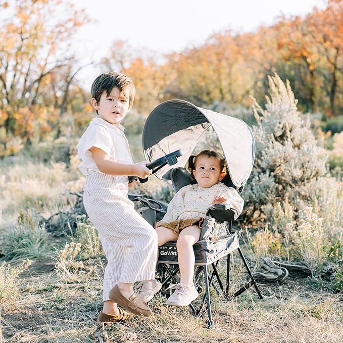 Baby Delight Go with Me Venture Portable Chair | Indoor and Outdoor | Sun Canopy | 3 Child Growth Stages | Grey - LeafyLoom