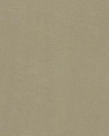 HomePop Upholstered Modern Living Room & Bedroom | Decorative Home Furniture Accent Chair, Taupe velvet - LeafyLoom
