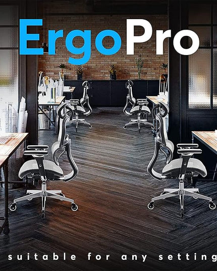 Oline ErgoPro Ergonomic Office Chair - Rolling Desk Chair with 4D Adjustable Armrest, 3D Lumbar Support and Blade Wheels - Mesh Computer Chair, Gaming Chairs, Executive Swivel Chair (Light Gray) - LeafyLoom