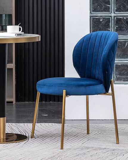 Roundhill Furniture Amoa Dining Chair, Set of 2, Blue - LeafyLoom
