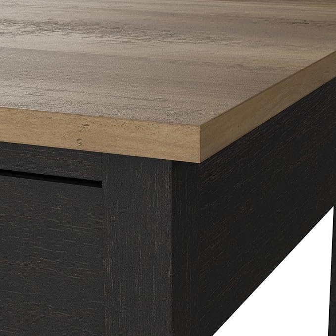 Bush Furniture Mayfield 2 Drawer Lateral File Cabinet in Vintage Black and Reclaimed Pine | Storage for Home Office Workspace - LeafyLoom