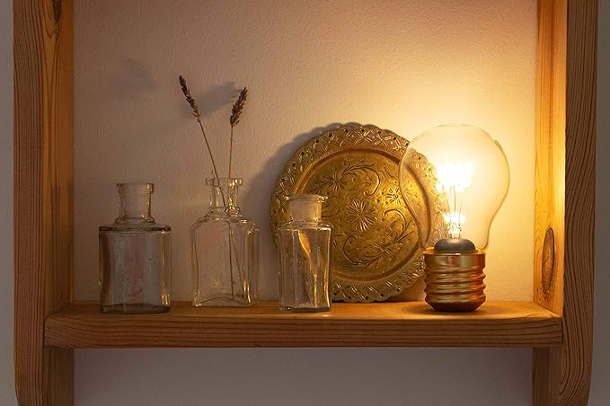 Suck UK | Cordless Light Bulb | USB Battery Powered Light Bulb | LED Edison Lamp For Bedroom | Battery Operated Light Bulb | Battery Light Bulb | Small Lamp & Cordless Table Lamps | Edison Bulb Lamp - LeafyLoom
