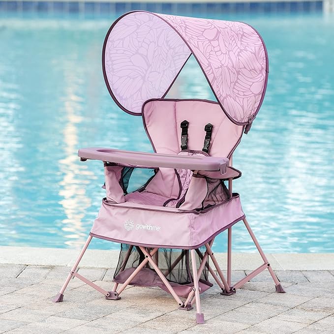 Baby Delight Go with Me Venture Portable Chair | Indoor and Outdoor | Sun Canopy | 3 Child Growth Stages | Canyon Rose - LeafyLoom