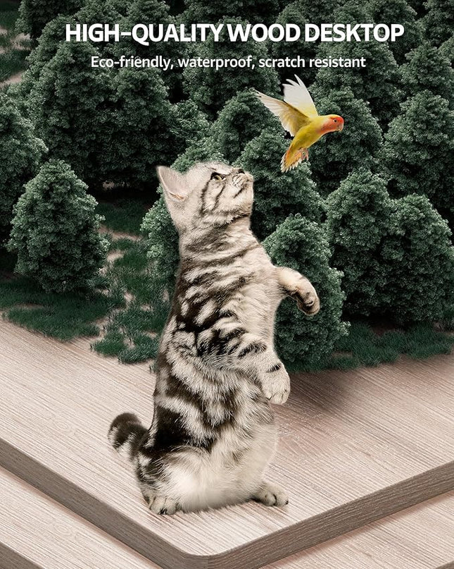 Electric Standing Desk Adjustable - 63 x 24 Inch Sit Stand up Desk with Cable Management - 3 Memory Preset Adjustable Height Desk Computer Home Office Desk - LeafyLoom