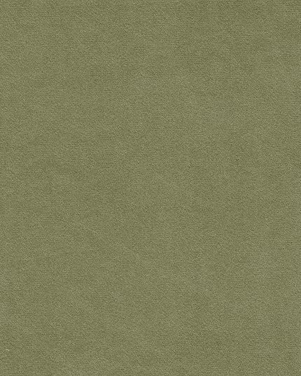 HomePop Upholstered Modern Living Room & Bedroom | Decorative Home Furniture Accent Chair, Light Sage Green Velvet - LeafyLoom