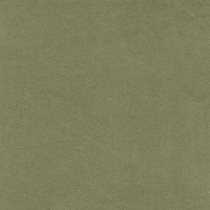 HomePop Upholstered Modern Living Room & Bedroom | Decorative Home Furniture Accent Chair, Light Sage Green Velvet - LeafyLoom